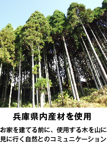 兵庫県内産材を使用　お家を建てる前に、使用する木を山に見に行く自然とのコミュニケーション